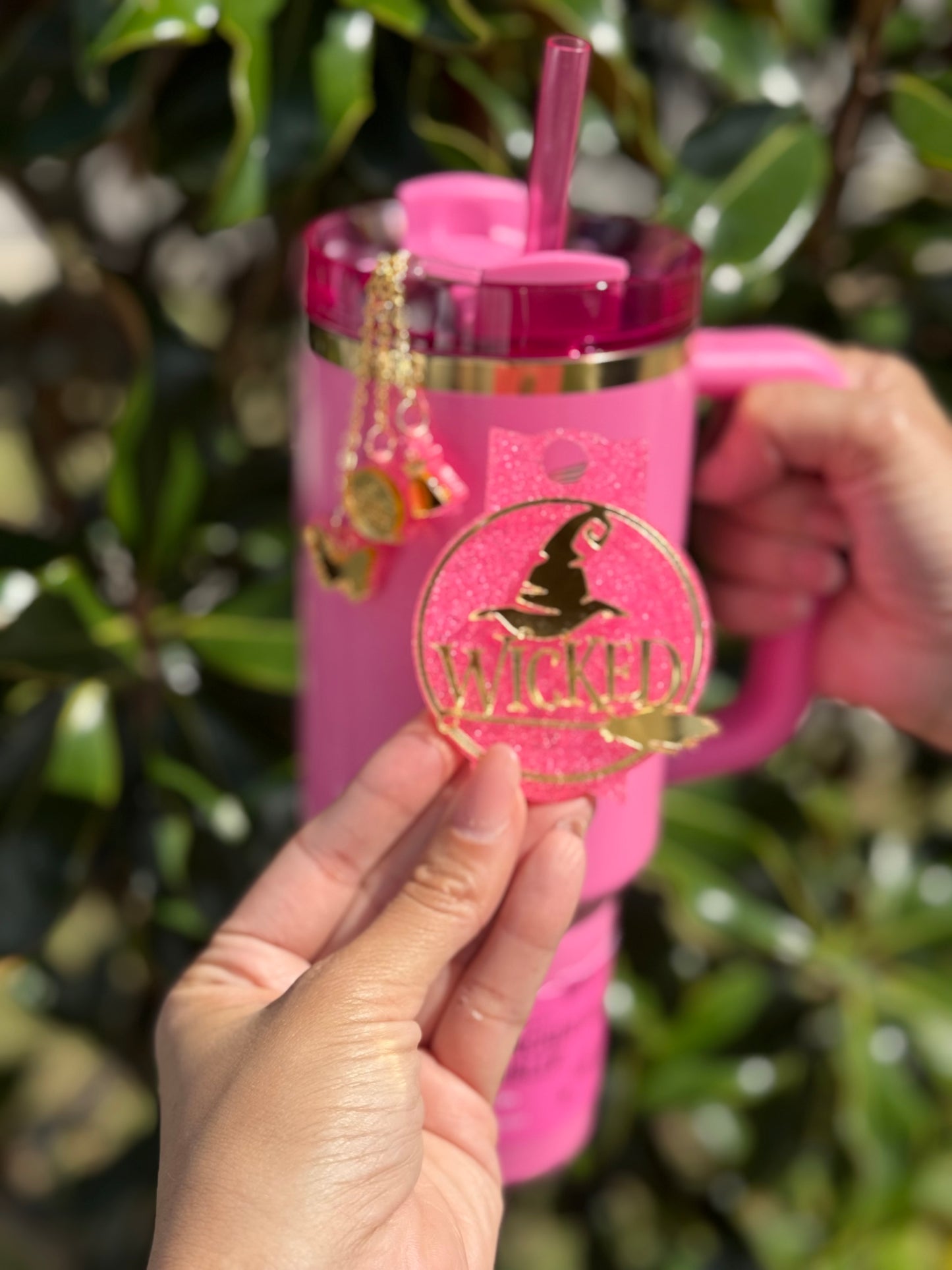 Wicked-Inspired Tumbler Accessory Set stanley inspired Topper and Charm set