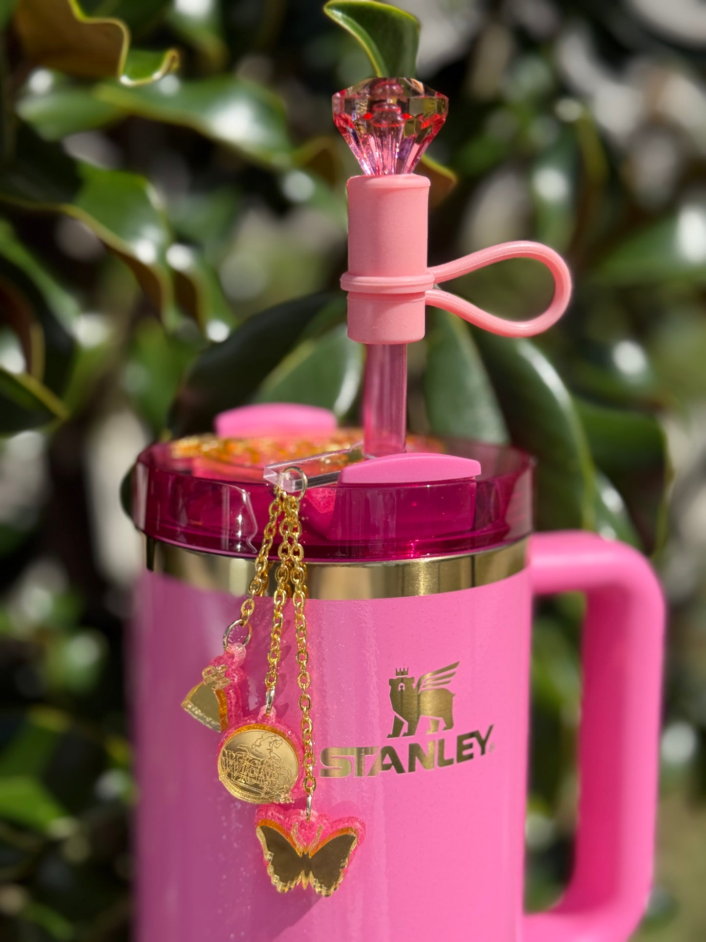 Wicked-Inspired Tumbler Accessory Set stanley inspired Topper and Charm set