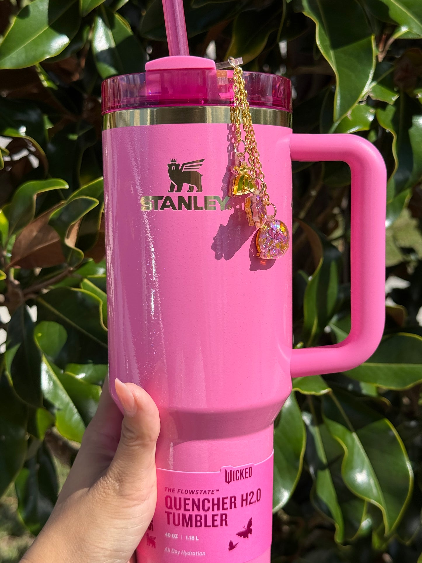 Wicked-Inspired Tumbler Accessory Set stanley inspired Topper and Charm set