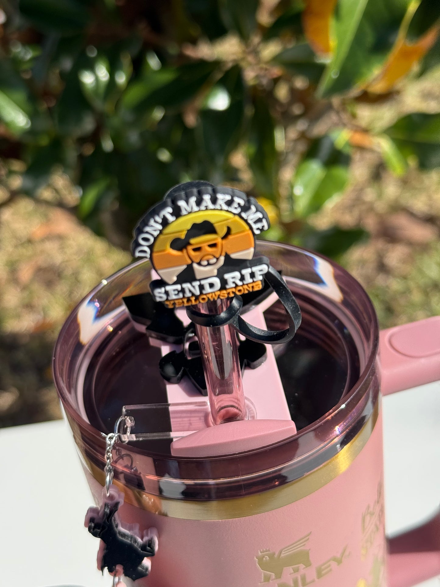 Yellowstone-Inspired Engraved Stanley Tumbler with Accessories